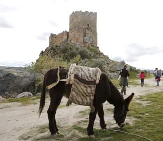 :: AEPGA 9 abril Passeio com Burros Por Tierras D L Rei Valcerto Ponte Medieval Castelo de Algoso 6 e 7 maio Festival de Ecologia, Artes e Tradições Populares Sons & Ruralidades