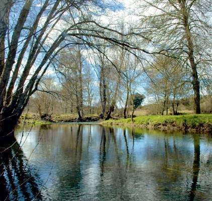 6 e 7 maio XVIII Jornadas Nacionais Conservação da Natureza e Educação Ambiental para a sustentabilidade Auditório da Casa da Cultura de Vimioso As XVIII Jornadas sobre Conservação da Natureza e