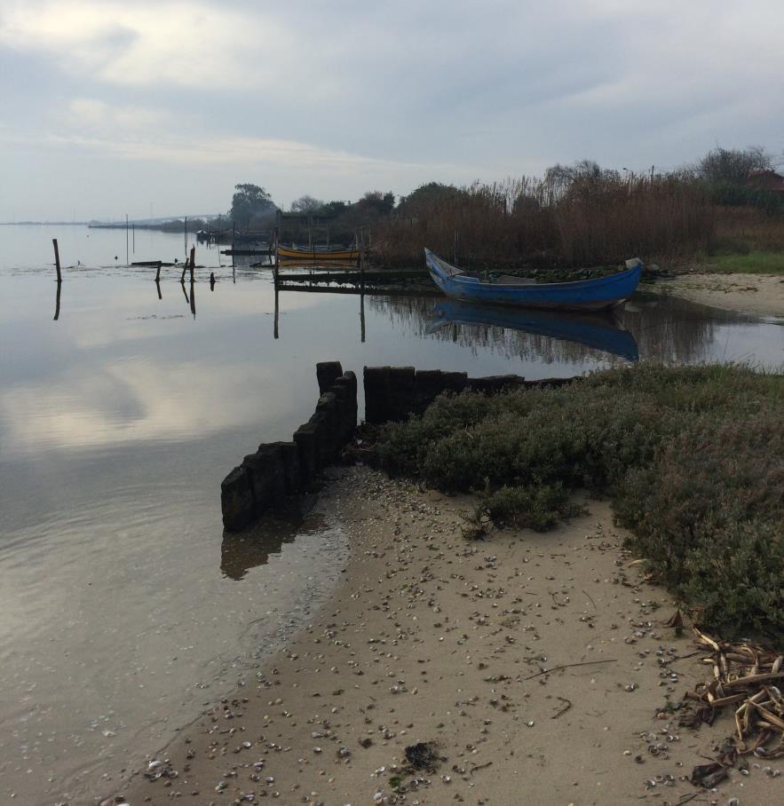 PROJETO DE TRANSPOSIÇÃO DE SEDIMENTOS PARA A OTIMIZAÇÃO DO EQUILÍBRIO HIDRODINÂMICO NA RIA DE AVEIRO E BARRINHA DE MIRA ANTEPROJETO PARECER DA COMISSÃO DE AVALIAÇÃO AGÊNCIA PORTUGUESA DO AMBIENTE