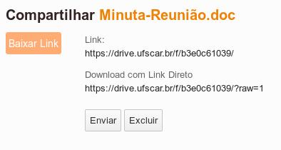 Figura 12 Também é possível adicionar um período em que o compartilhamento estará disponível, clicando na caixa de seleção Adicionar auto expiração (Figura 13), informando o número de dias.