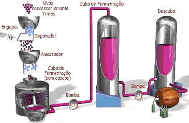 ESTABILIZAÇÃO E FILTRAÇÃO