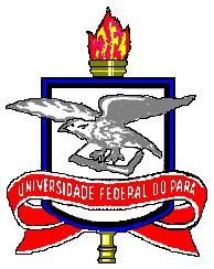 Universidade Federal do Pará Campus Universitário de Tucuruí Divisão de Pesquisa e Extensão 1.