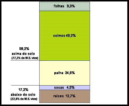 Partição de Fitomassa da cana-de-açúcar -