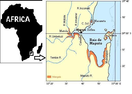 Figura 1. Mapa da Baia de Maputo a sul de Moçambique. 1.2.