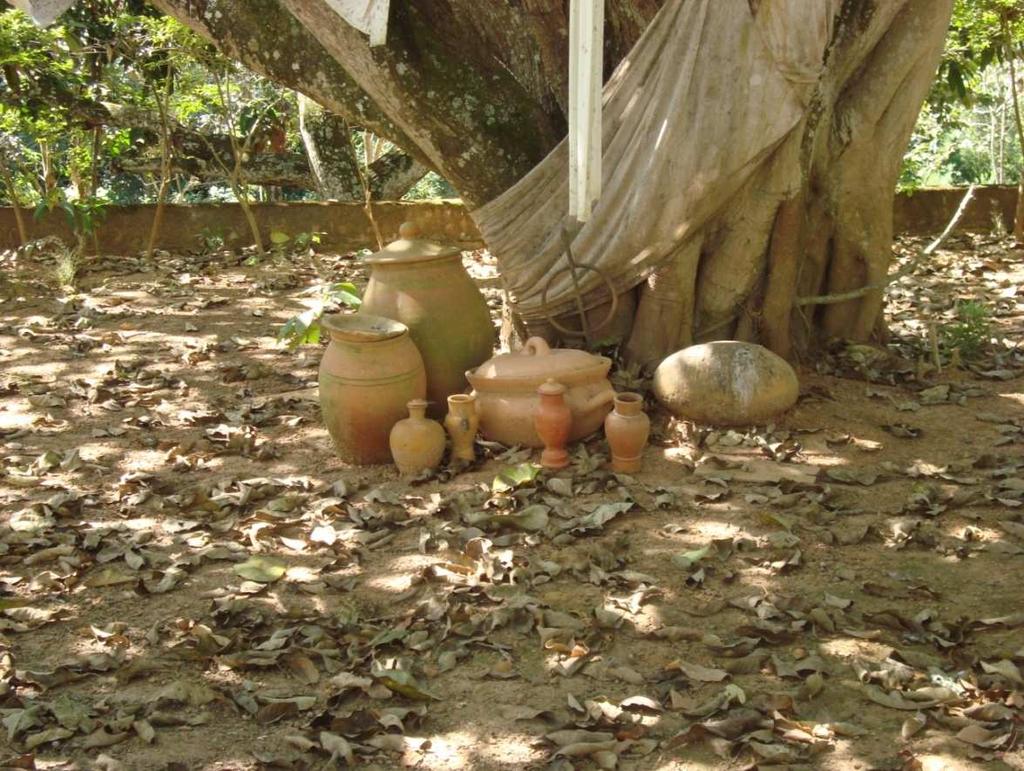 Figura 4:Ilê Axé Onilewá Azanadô As paisagens dos terreiros apresentados, suas diferenças, interferem não somente na presença dos elementos vegetais utilizados nos rituais, dado que estes podem ser