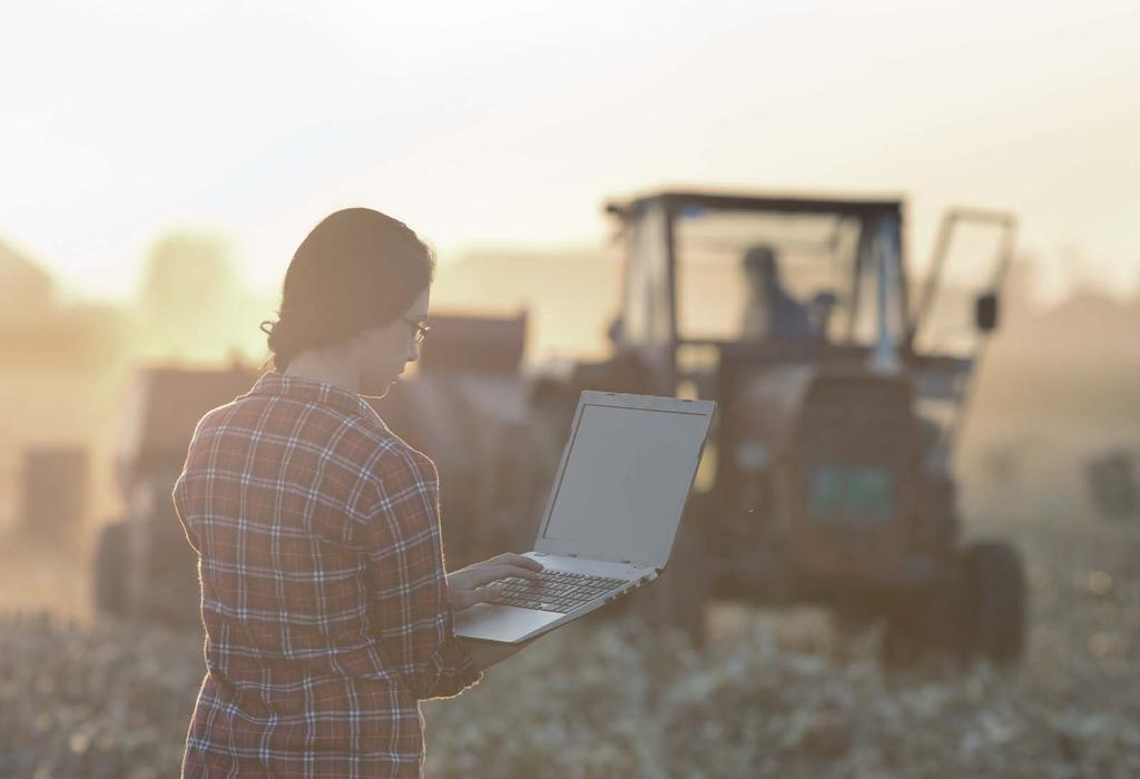 AGRICULTURA E ALIMENTOS 2017 BR