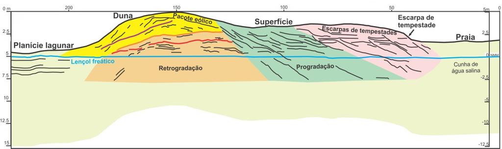 11 Da base da face da duna voltada para o mar até próximo à escarpa de tempestade atual no limite interno da praia, em um segmento relativamente plano da barreira, observa-se em subsuperfície uma