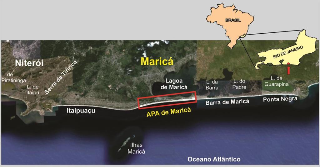 2 1. INTRODUÇÃO Este estudo foi desenvolvido em uma Área de Proteção Ambiental na porção central do litoral de Maricá no estado do Rio de Janeiro, Brasil (figura 1).