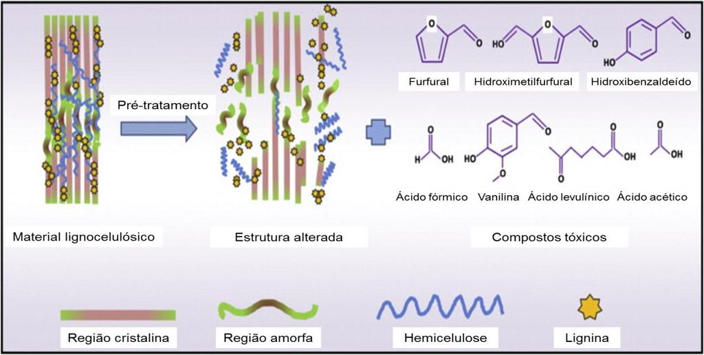 interesse pela aplicabilidade no contexto de biorrefinaria (Garrote et al., 1999a; Pan et al., 2005), como apresentado na Figura 2.4.