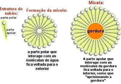 Na parte interna,há interações dipolo instantâneo- dipolo induzido.