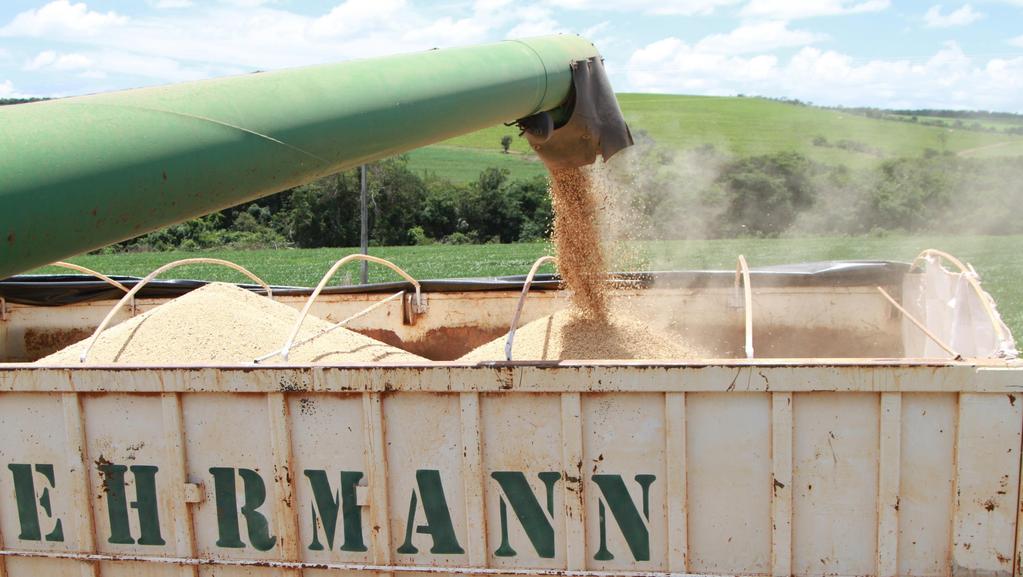 Produção (mil ton) EVOLUÇÃO DA SAFRA DE GRÃOS 250.000 200.000 150.000 100.000 50.000 - Produção Área Plantada Produtividade 4.000 3.500 3.000 2.500 2.000 1.500 1.