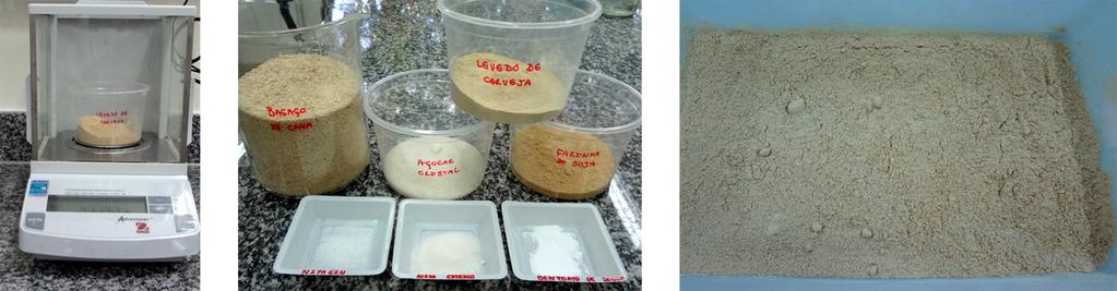 Técnicas para Criação da Mosca-da-Carambola (Bactrocera carambolae 25 Inicialmente, deve-se pesar todos os ingredientes, separadamente (Figuras 12A e 12B).