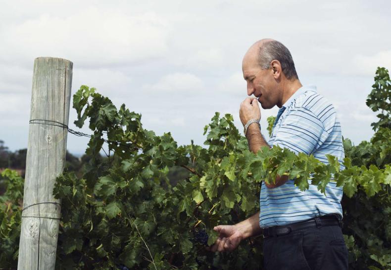 5 ESTRATÉGIAS DOS FABRICANTES AGROQUÍMICOS Maior Conhecimento do Setor > Crescente conhecimento do agricultor > Gerenciamento do território >