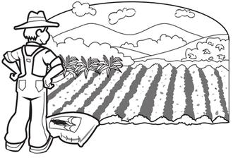 1 NOVO MODELO DE NEGÓCIOS Novo Modelo de Negócios do Agrodistribuidor Agente Financeiro D F S M SOLUÇÃO Insumos Agricultura Safra Indústria Consumidor INSUMOS