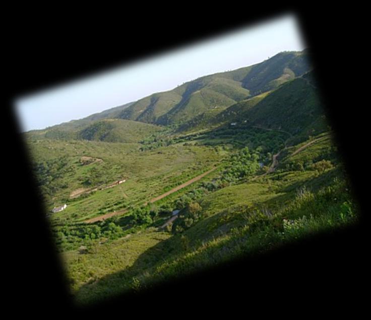 Cada empregado de limpeza tem a responsabilidade de manter sempre a sua área de serviço preparada para tudo, ou seja, as casas têm de estar sempre limpas e arrumadas.