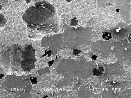 polarização cíclica, b) Micrografia obtida por MO mostrando o corte transversal