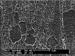 Finos grãos de ferrita recristalizada, observados no aço C- Mn Figura 6. Grãos ferríticos parcialmente recristalizados no aço HSLA.