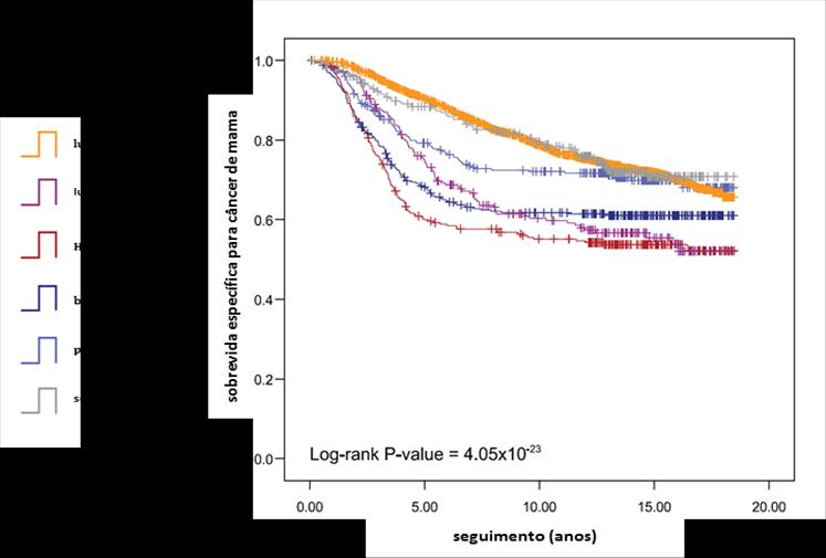 28 grupo triplonegativo em dois subgrupos, os autores demonstram que, em cerca de três anos de acompanhamento, as curvas dos tumores basais e pentanegativos tendem a se separar e que, ao longo de 15
