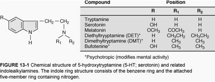 Serotonina Inicialmente identificada devido a efeito na constrição do sistema vascular associado à