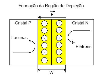 E1 Junção PN A temperatura ambiente, a junção PN formada por semicondutores