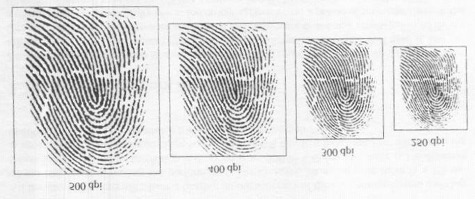 Resolução: indica o número de pontos ou pixels por polegadas (dpi-dots per inch). O FBI (Federal Bureau of Investigation) determina como padrão para os scanners a resolução mínima de 500 dpi.