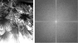 Figura 3.10 Esquema ilustrando os passos da filtragem no domínio de Fourier A maioria das imagens no domínio de freqüências possui como amplitude característica, picos no centro (0,0) do domínio.