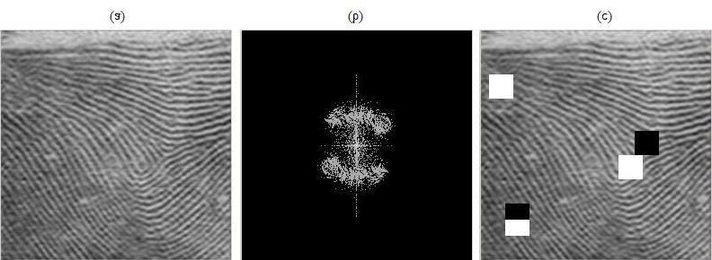 Embora este valor de 12% tenha sido o melhor resultado encontrado nas imagens testadas, esses testes não possibilitaram definir um valor de corte ideal a ser utilizado em todas