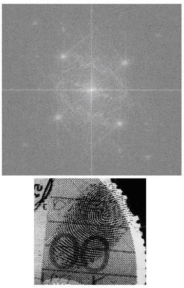 baixa, passa alta e passa banda), são apresentados filtros retangulares horizontais (isolar freqüências verticais) e verticais (isolar freqüências horizontais).