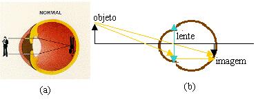 Formação