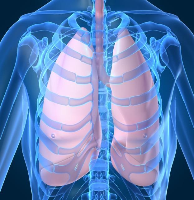 Hepáticas Renais Hematológicas