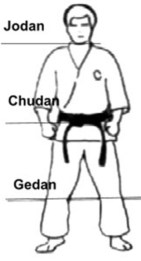4 Todas as técnicas do Karate Do podem ser usadas tanto para o ataque quanto para a defesa, dependendo da situação e da aplicação.