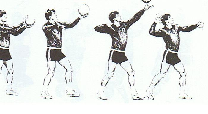 A continuação de um estudo teórico sobre o saque do voleibol com a técnica rotacional pág. 123 bola, ou seja, ocasionar uma força maior (força tangencial + força de várias articulações do jogador).