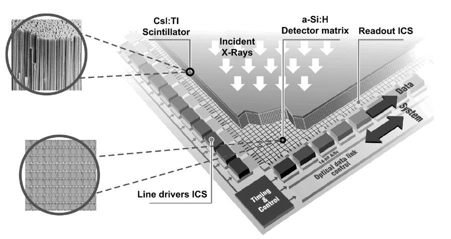 FLAT DETECTORS (FD) Road mapping Reconstrução 3D