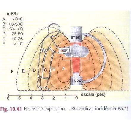 Curvas de