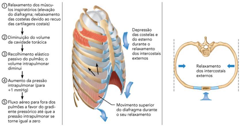 Ação do