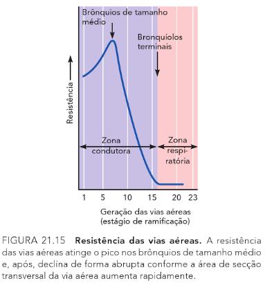 INFLUÊNCIA DE FATORES FÍSICOS NA VENTILAÇÃO RESISTÊNCIA DAS VIAS AÉREAS O