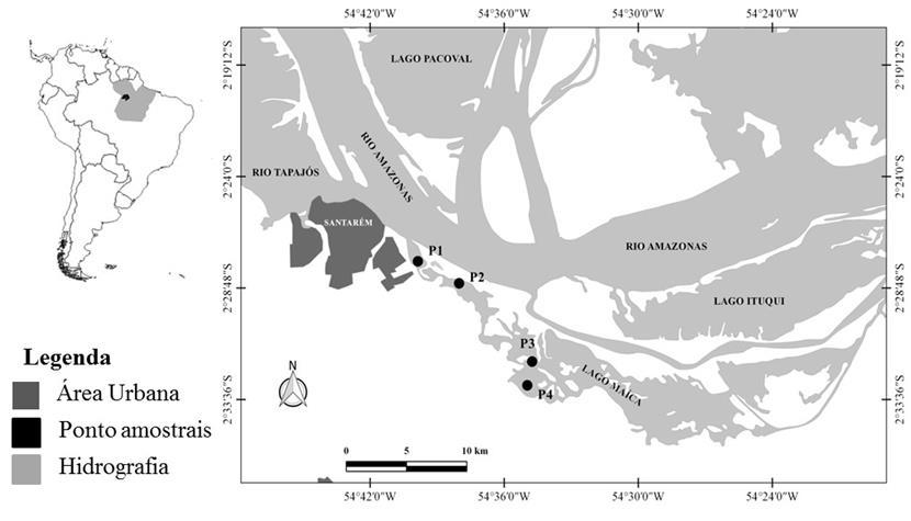 Figura 1. Are-a de estudo, com destaque para os pontos de coleta ao longo do Lago Maicá, Santarém, estado do Pará. O clima local é caracterizado pelo Am e Amw correspondente a classificação de Köppen.