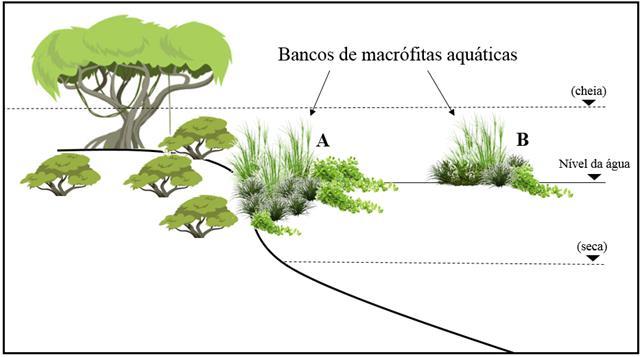 (1998), Nakatani et al. (2001), Santos et al. (2004), Santos, Fereira & Zuanon (2006), Britski, Silimonk & Lopes (2007) e Soares et al.