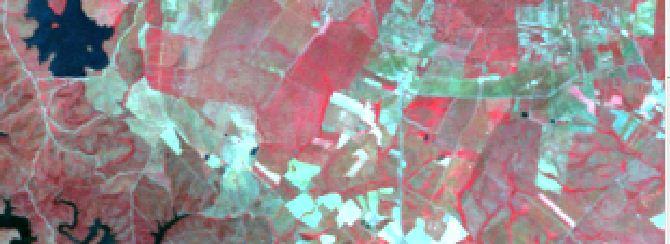 Interpretação de uma composição colorida em falsa cor Na composição RGB=(IVP,Vermelho,Verde), as cores obtidas tem em geral a seguinte interpretação: vermelho-magenta vegetação vigorosa; rosa