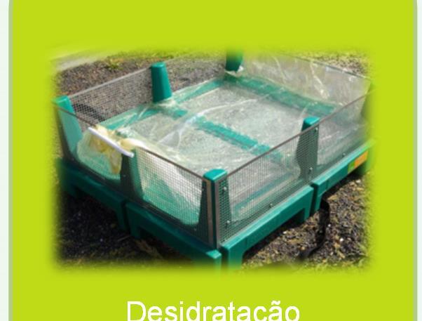 HELIOSEC PHYTOBAC OSMOFILM SYNGENTA Evaporação Contacto: gilberto.