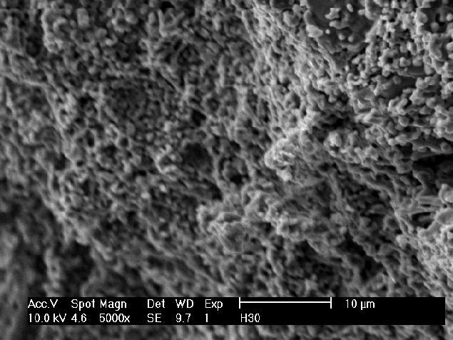 47 A presença de alumina em excesso modificou significativamente a microestrutura das superfícies de fratura das amostras HA-30 quando comparadas com a superfície das amostras HA-05 e HA-15