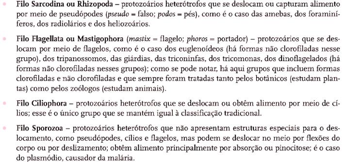 Biologia EUCARIOTOS PROTISTAS O termo protista significa primeiro de todos.