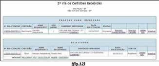 Note que alguns dos campos já virão pré-preenchidos. Preencha os campos da tela de certidão e pressione o botão Preparar 2ª Via de Certidão com estes dados.