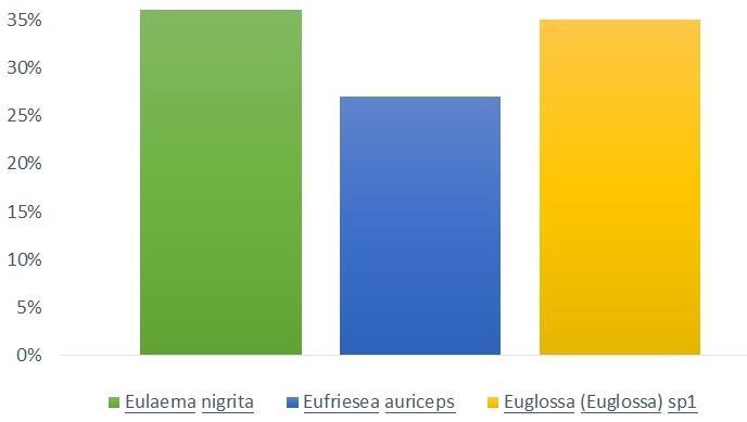 As abelhas do gênero Euglossa tiveram maior frequência relativa no Cerrado Denso, sendo essa uma área que se encontra em bom estado de conservação.