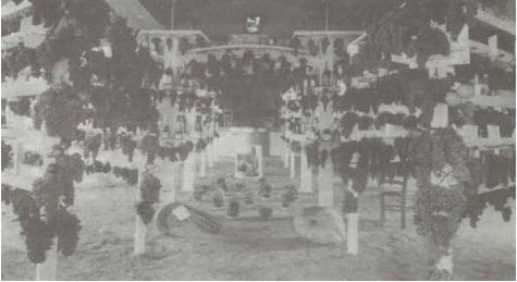 Primeira Exposição de Uvas da Serra, em 1913, nas dependências do Clube Borges de Medeiros, e com a produção do