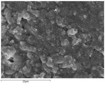 Microscopia eletrónica - MEV-EDS Calosil IP5 e IP25 Calosil