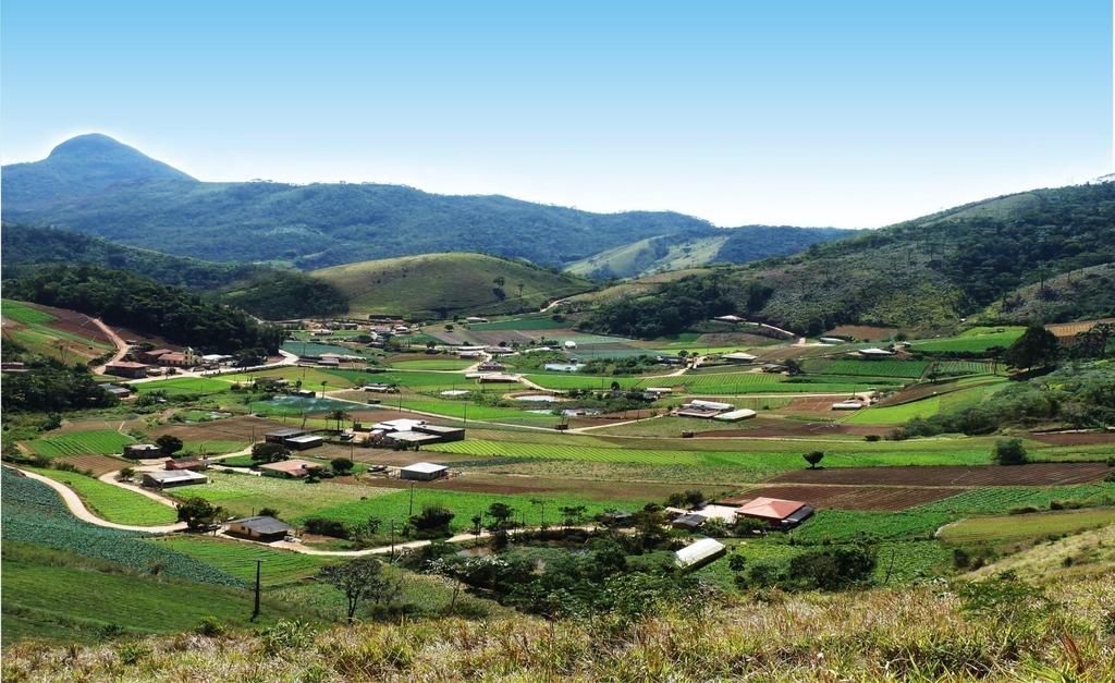 A agricultura é o único segmento importante da economia brasileira que tem progresso técnico no centro do seu modelo de negócio; A agricultura brasileira é a mais competitiva do mundo, sem