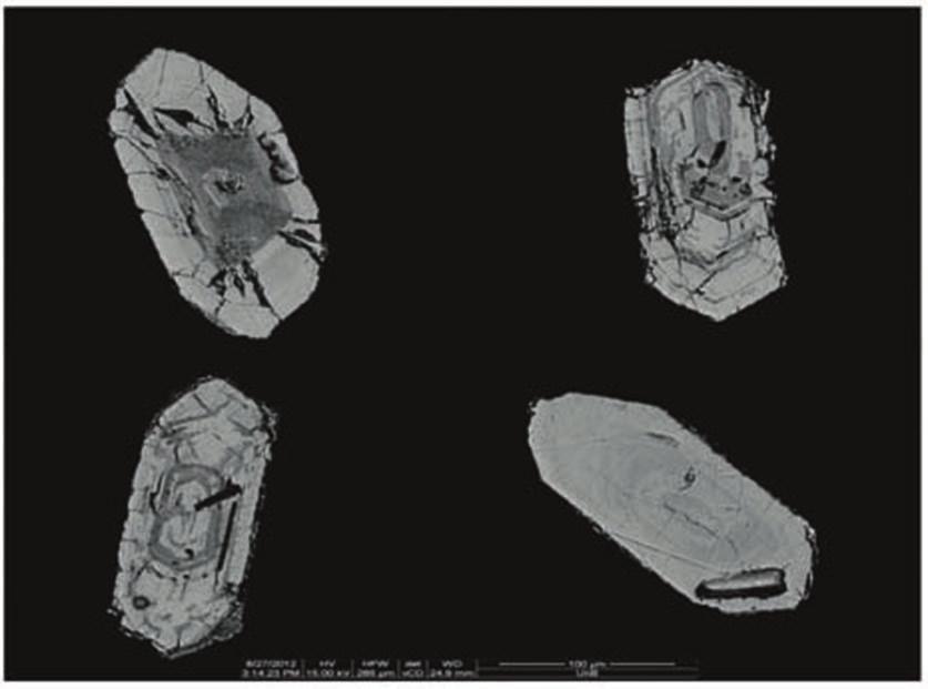 Fernanda Rodrigues da Silva et al. Figura 2. Imagem retro-espalhado de microscopia eletrônica de varredura de cristais de zircão da amostra FR2, mostrando suas morfologias.