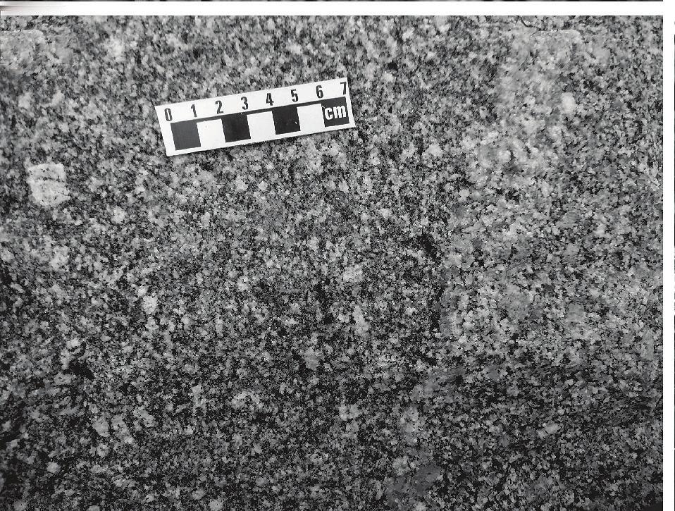 Granodiorito Peixoto: (A e B) granodiorito com textura porfirítica,
