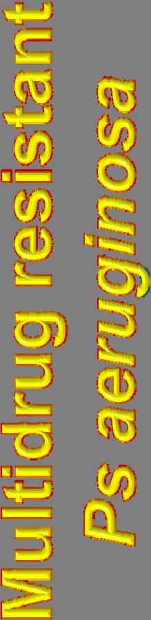 17% of Pseudomonas aeruginosa isolates were found to be multi-resistant ( 3 classes of